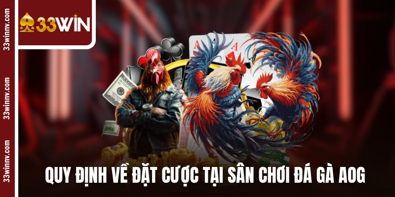 Quy định về đặt cược tại sân chơi đá gà AOG
