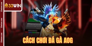 Cách Chơi Đá Gà AOG