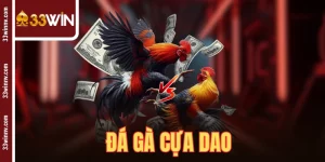 Đá Gà Cựa Dao