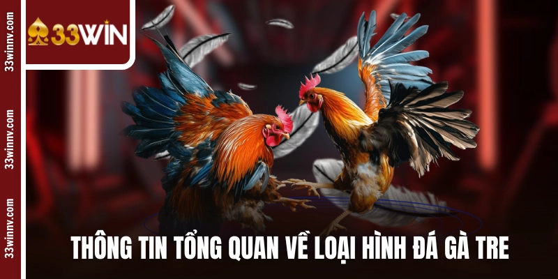 Thông tin tổng quan về loại hình đá gà tre