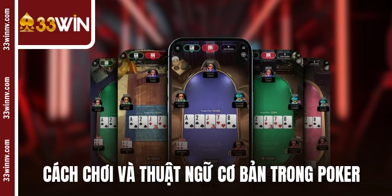 Cách chơi và thuật ngữ cơ bản trong Poker online